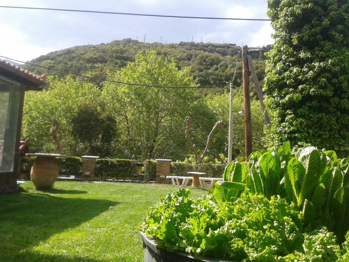 Kalogirou Stone House Apartment Limnionas  Exterior photo